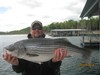 (04/29/2014) - Nice Striped Bass